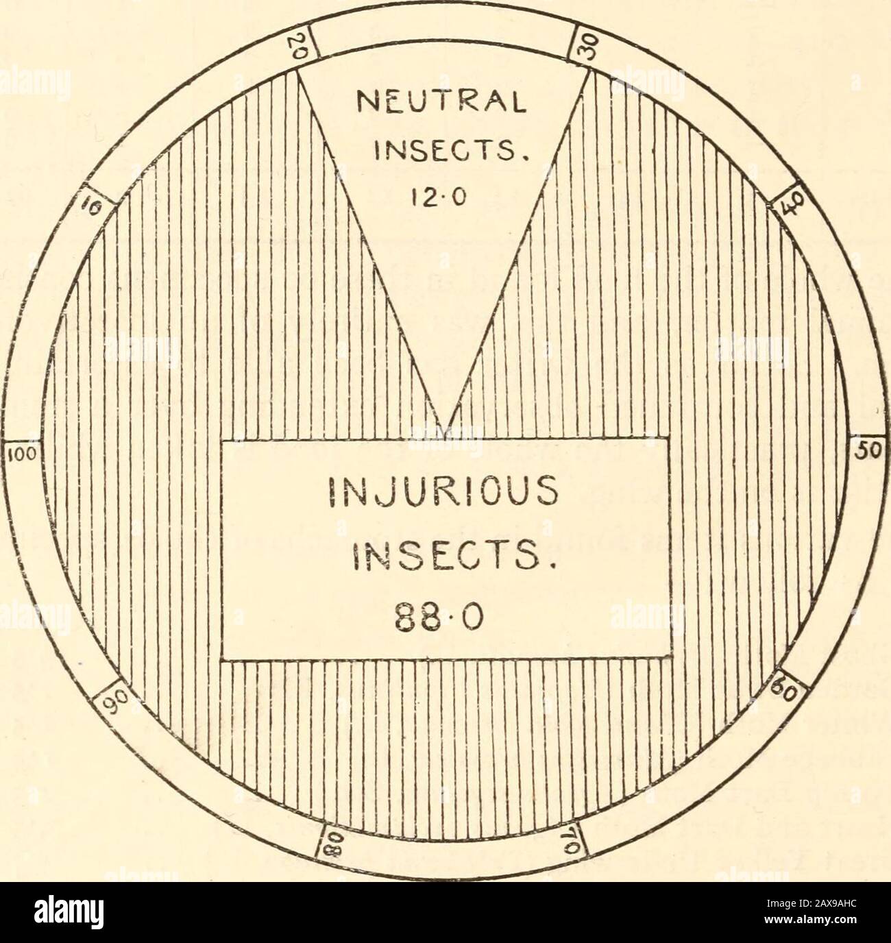 The journal of the Ministry of Agriculture. . ola, L.) 50 June Chafer [Rhizotrogus solstitia.is, L.) 45 Dung Beetles [Geotrupes sp.) I 5 Remains of Beetles (not identifiable) .. • 16-5 Crane Fly [Tipula oleracea, L.) 55 Remains of other Dipterous Flies 75 100 O A summary of these figures shows that of the total bulk offood consumed ffom May to September 88 per cent, consists 3 X 994 The Food of the Nightjar. [JAN., of insects harmful to agriculture, while 12 per cent, consists ofinsects of a neutral character (see Figure). Little need be said as to the harmful insects. All are commonand widely Stock Photo