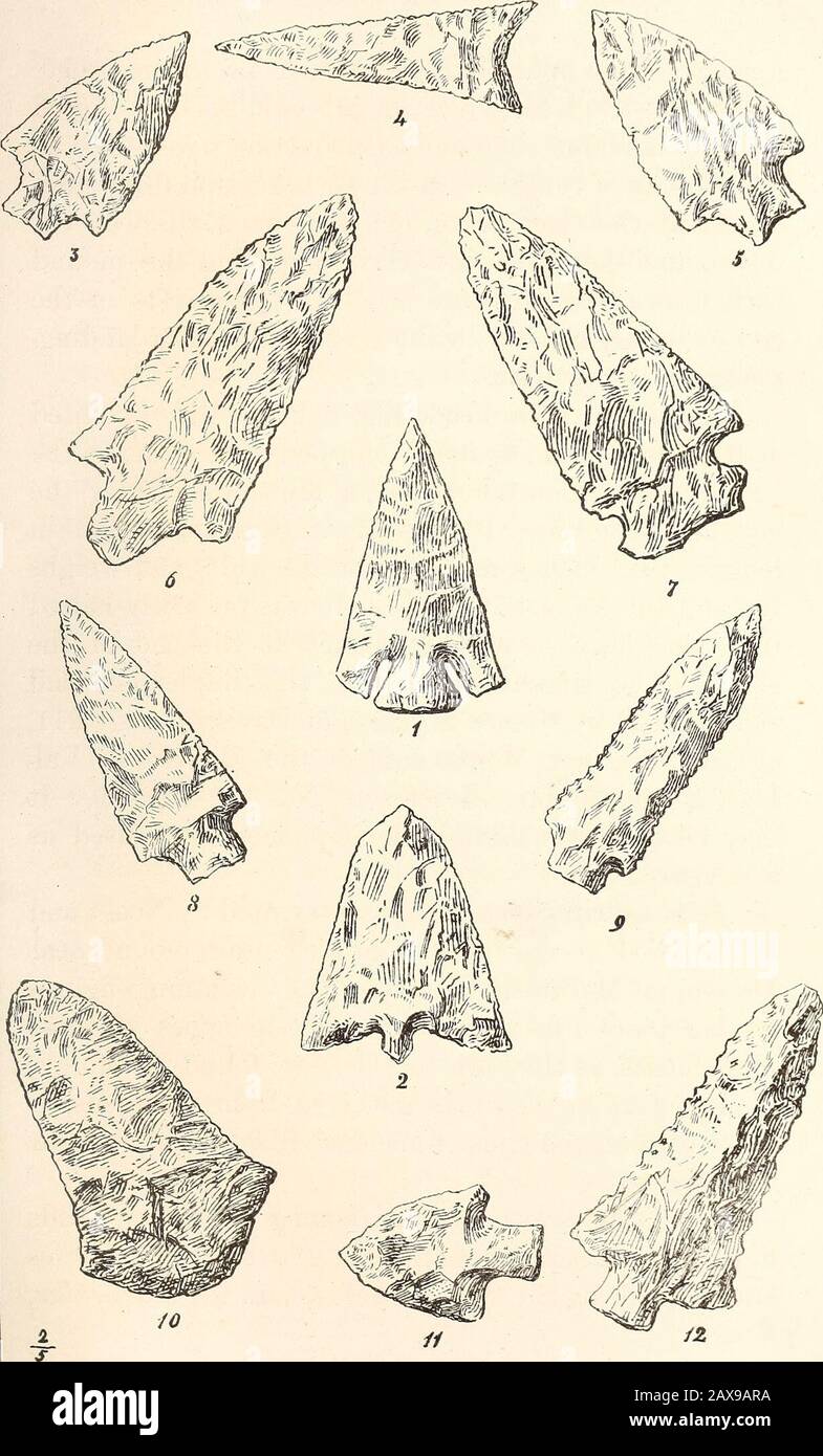 Antiquities of the southern Indians, particularly of the Georgia tribes . a half inlength, two inches and four-tenths wide, and weighsten and three-quarter ounces. It was probably haftedin a bone, horn, or wooden socket at the end of theshaft. The similarity between this implement andthat figured by Messrs. Squier and Davis, on page 211,of the Ancient Monuments of the Mississippi Val-ley, is remarkable. I refer to No. 3 in Fig. 99. Itmay be that this formidable implement was used asa dagger. The beautiful spear-heads represented by Nos. 1 and2, Plate VIII., were taken from a chieftain mound ne Stock Photo