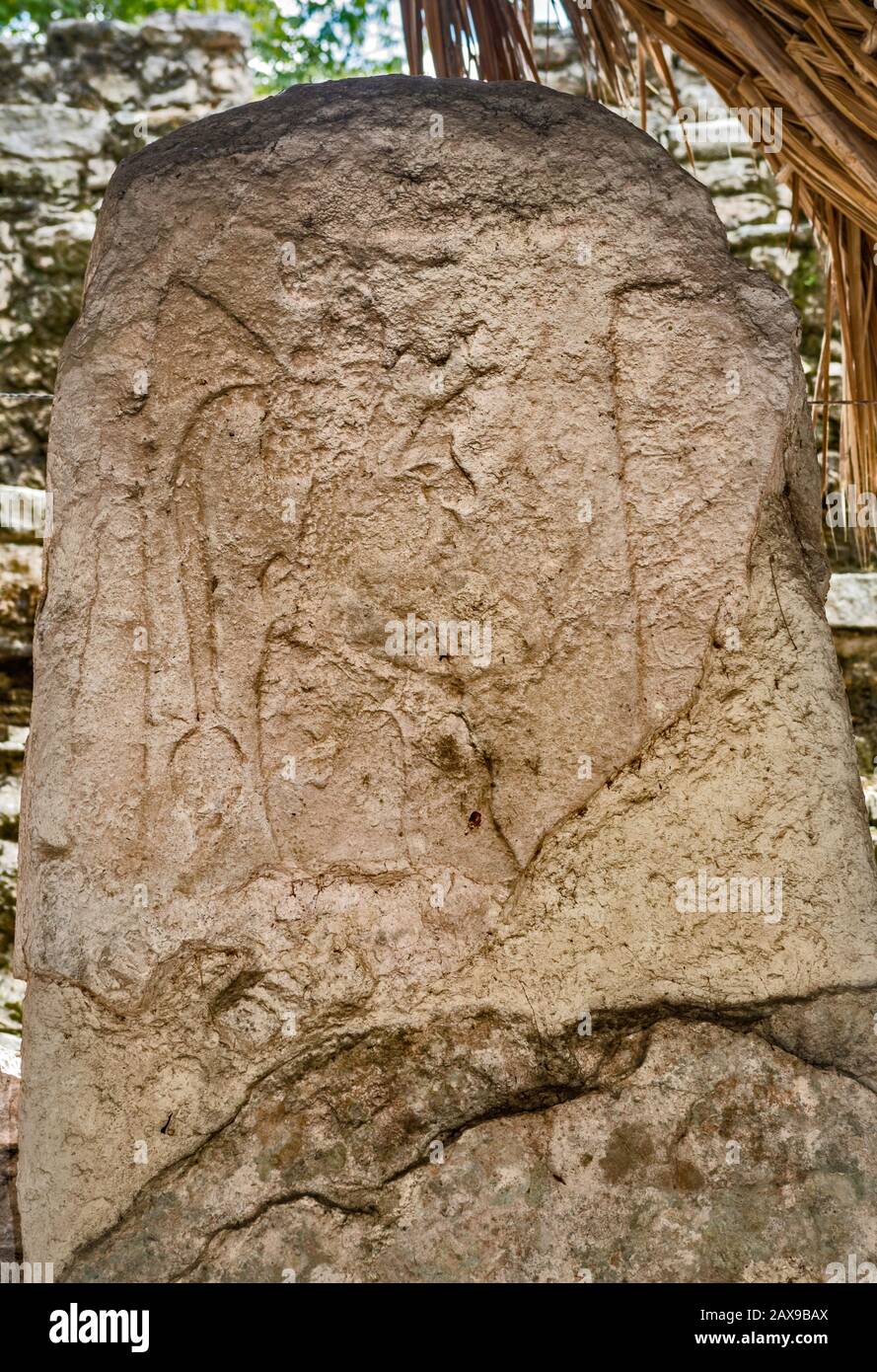 Weathered stela near La Iglesia pyramid, Coba Archeological Area, Yucatan Peninsula, Quintana Roo state, Mexico Stock Photo
