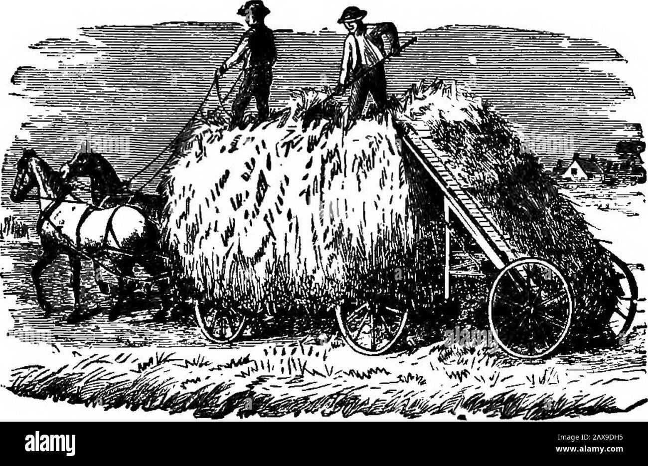 Farm echoes . being put into active service. I had, for instance