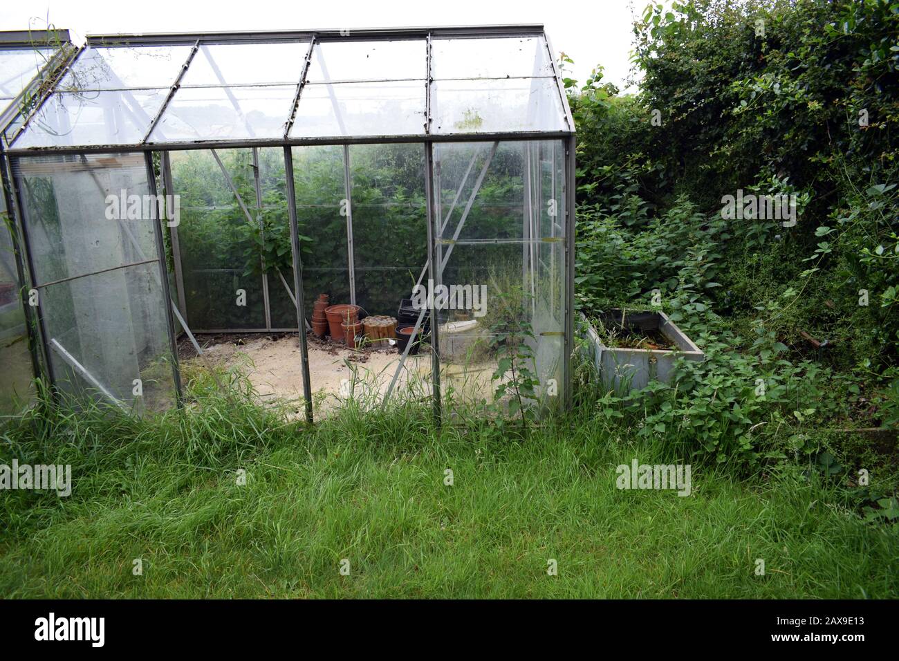 An abandoned small domestic greenhouse Stock Photo
