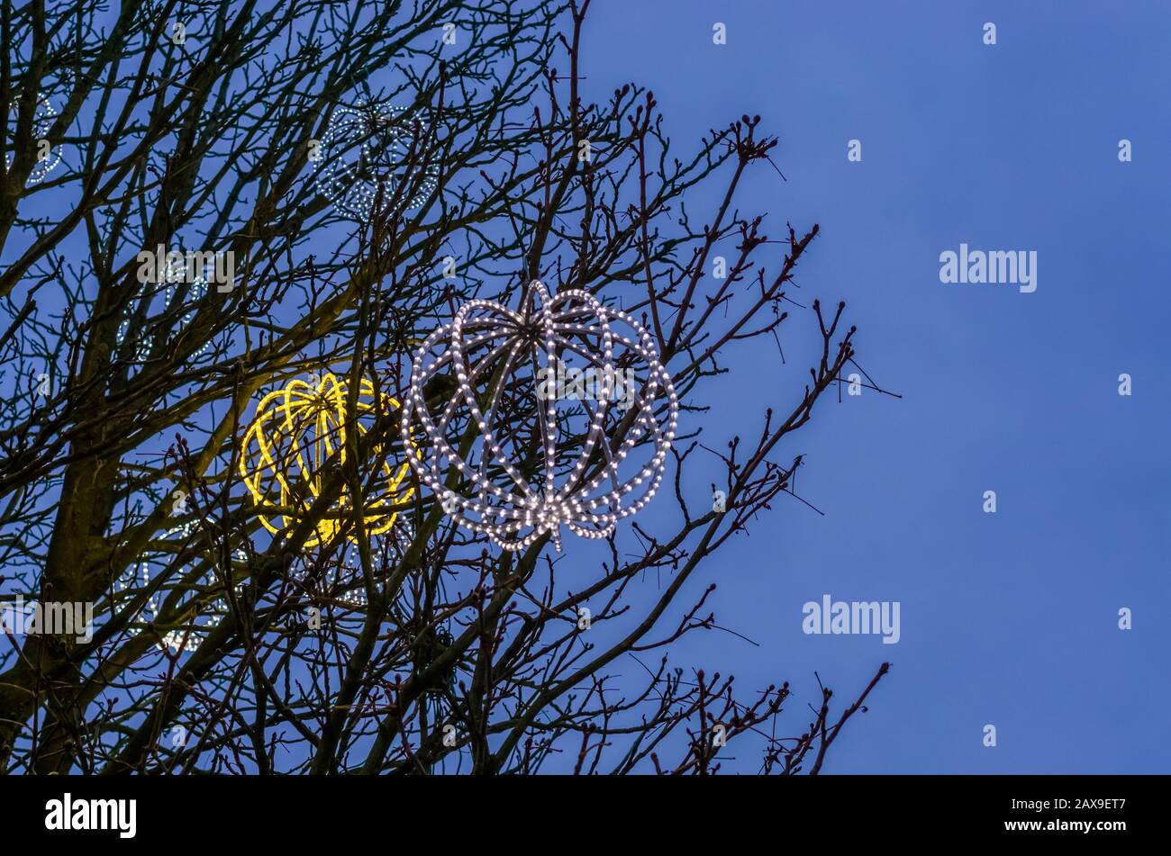 lighted led spheres hanging in the trees, beautiful outdoor winter