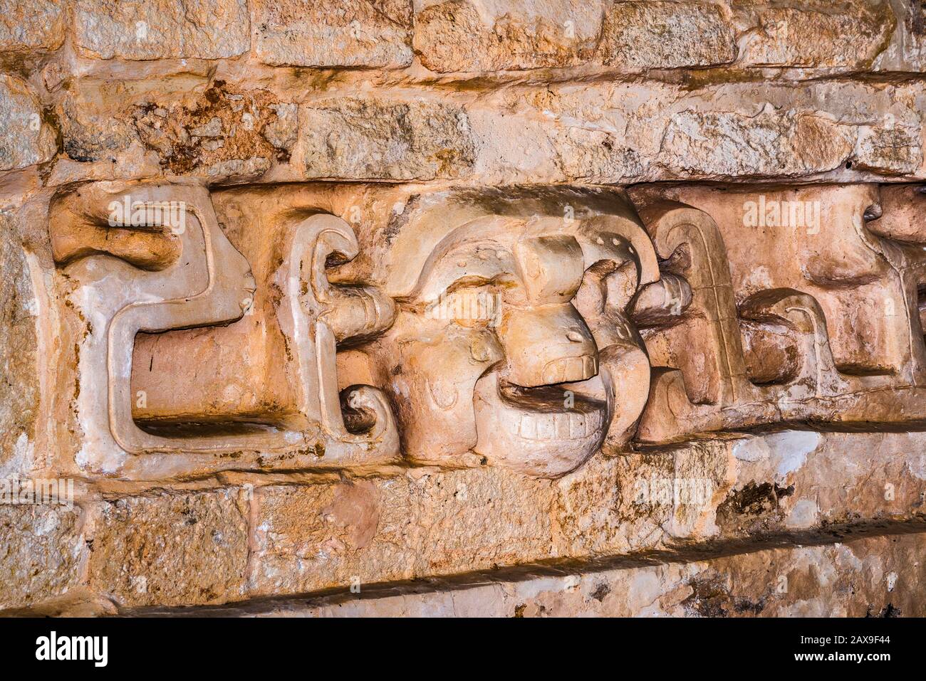 Carving of head at Acropolis pyramid at Ek Balam Archeological Area, Yucatan state, Mexico Stock