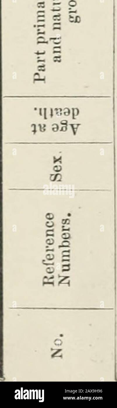 Archives 3 2 2 If Ji X s A O 3 Xj 5 O I Gt 1 3 3 3 3 I Si