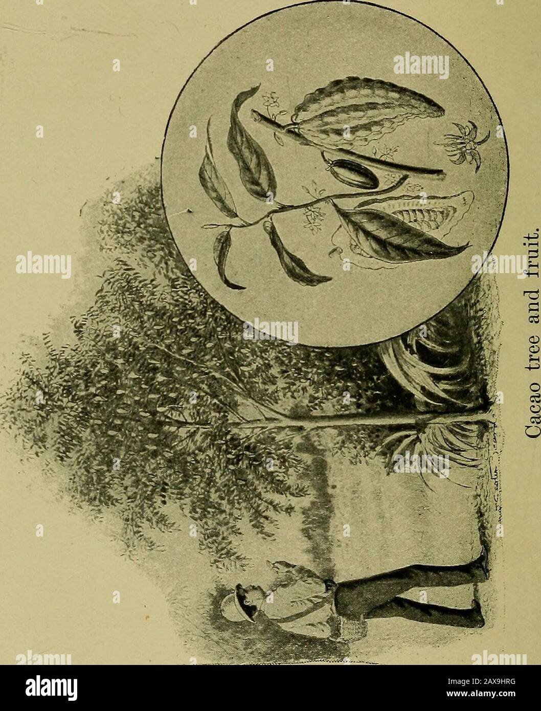 Tablespread hires stock photography and images Alamy