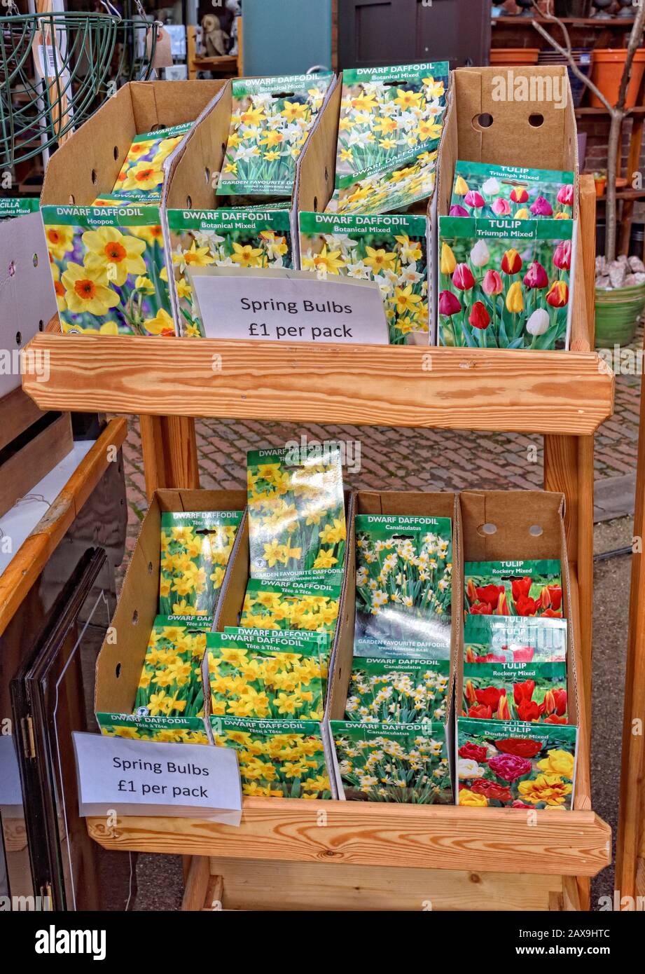 Spring bulbs for sale on a wooden outside display,Wollaton park