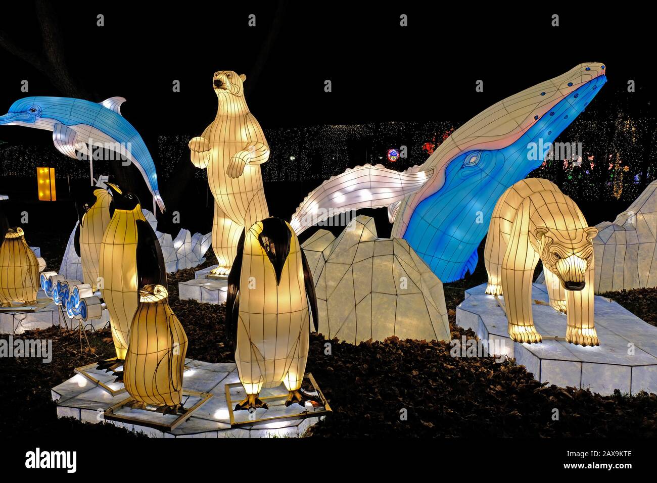 Winter Lantern Festival 2025 Snug Harbor Janie Philis