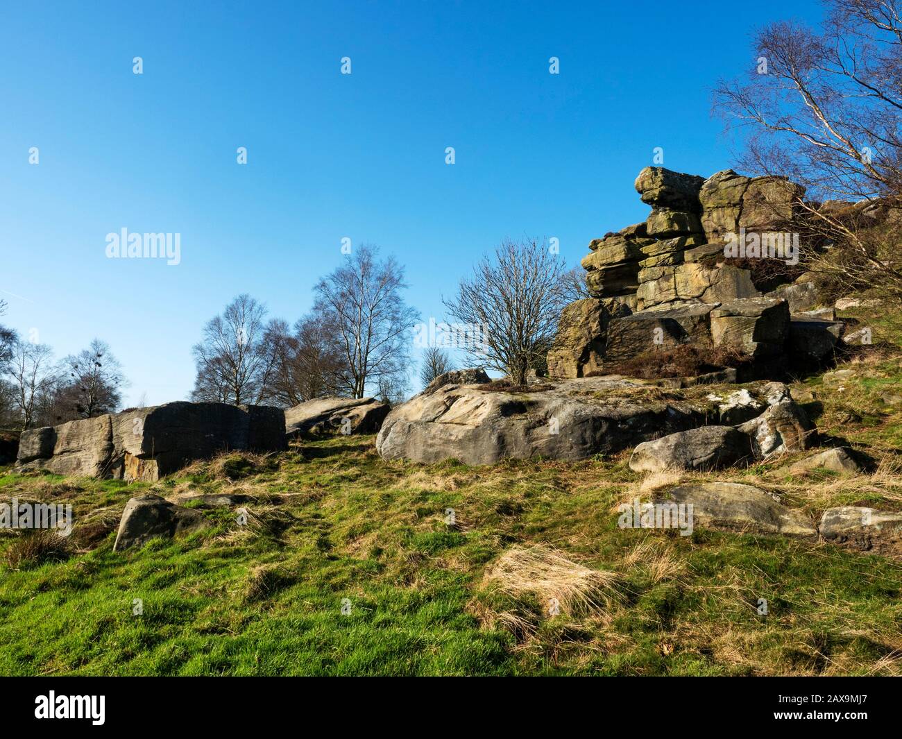 Gritstone rocks at Brimham Beacon on the southern edge of Brimham Moor Nidderdale AONB North Yorkshire England Stock Photo