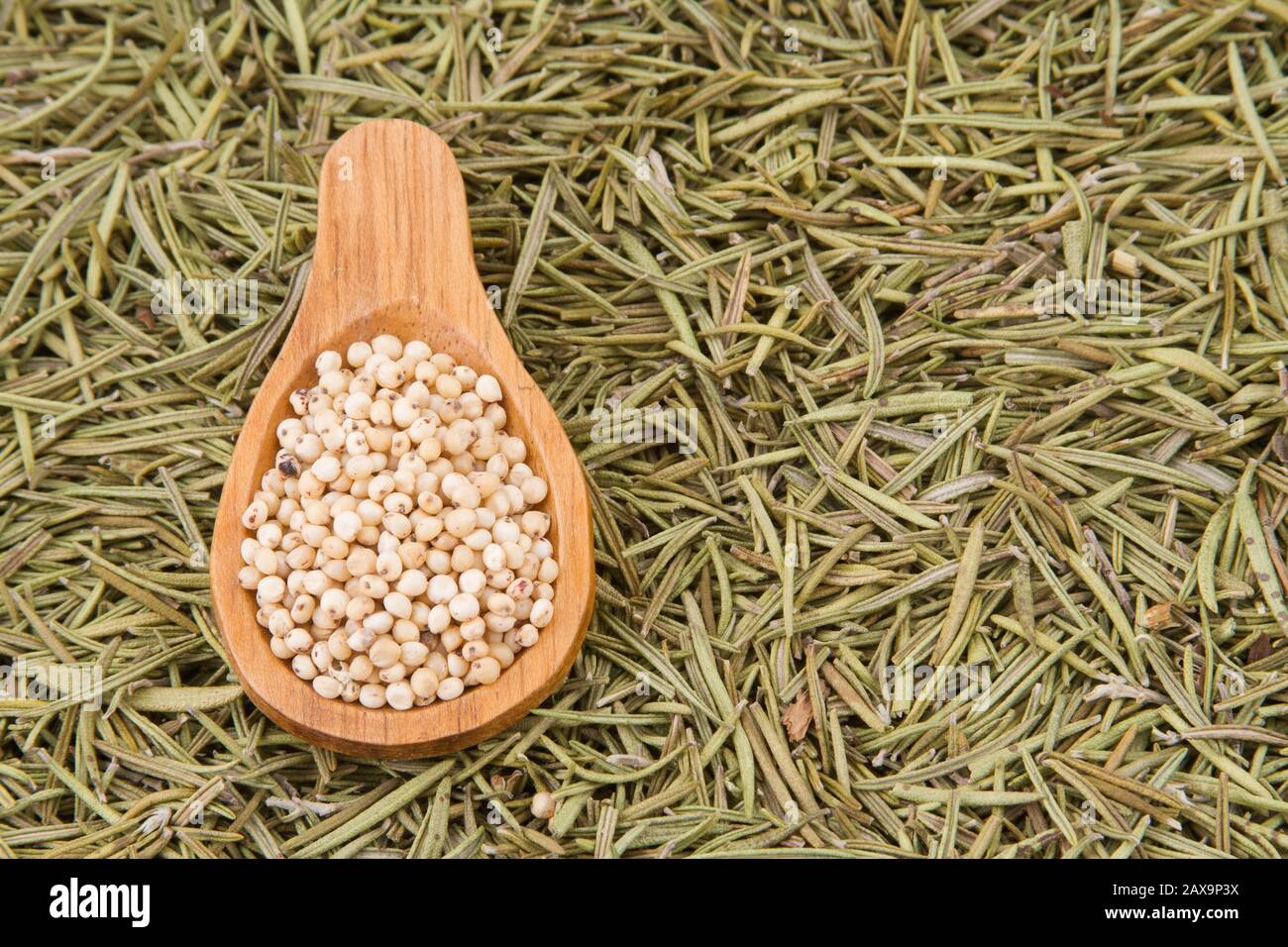 grains of red and white sorghum (Sorghum). Stock Photo