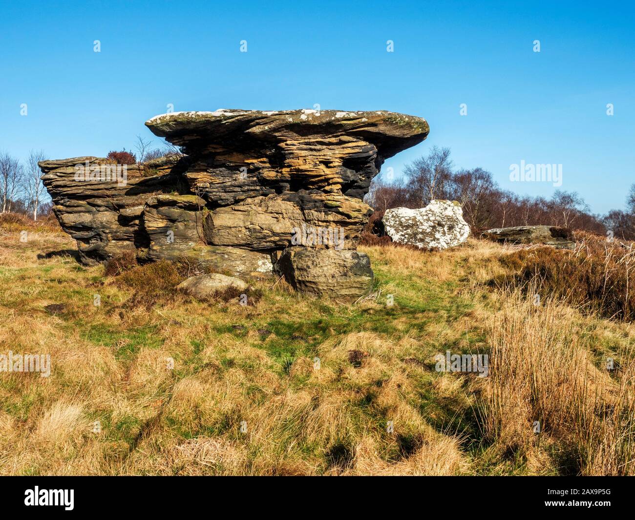 Gritstone rock formation on Brimham Moor Nidderdale AONB North Yorkshire England Stock Photo