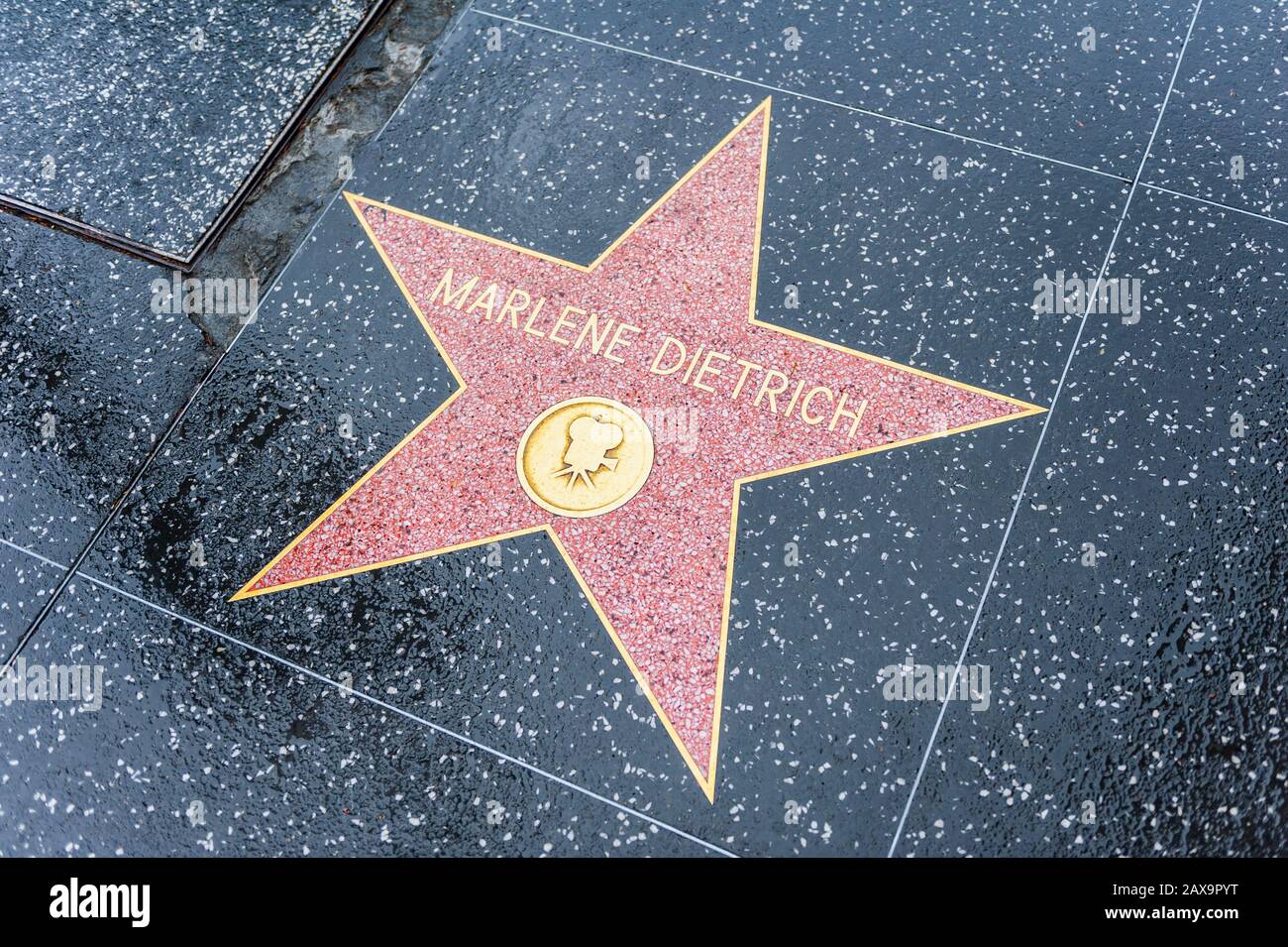 Marlene Dietrich star on Hollywood Walk of Fame in Hollywood, California, USA. She was a German-American actress and singer, active from 1919-1984. Stock Photo