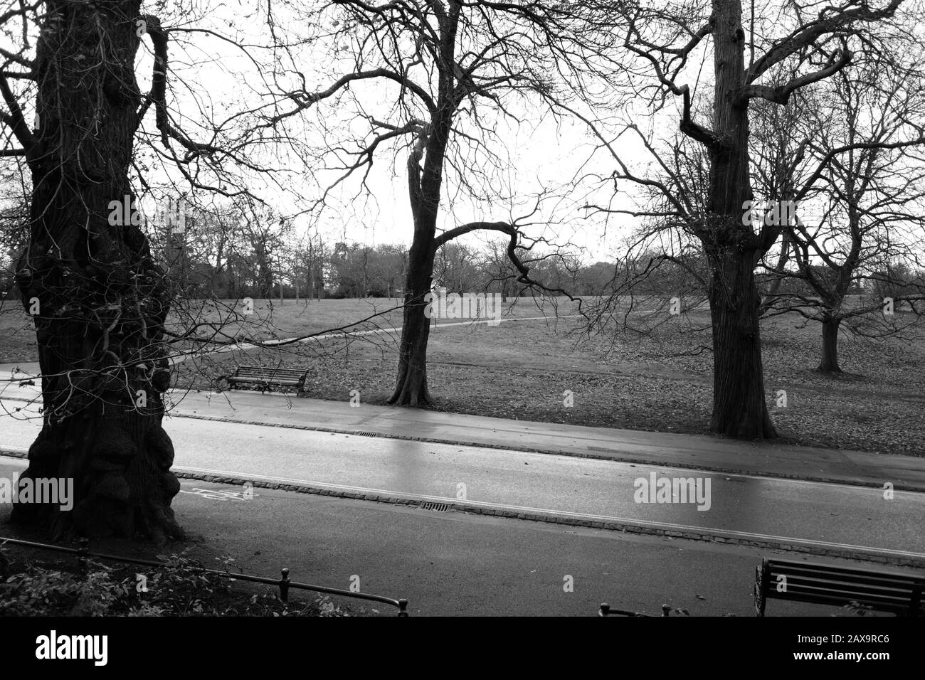 Park lane Black and White Stock Photos & Images - Alamy