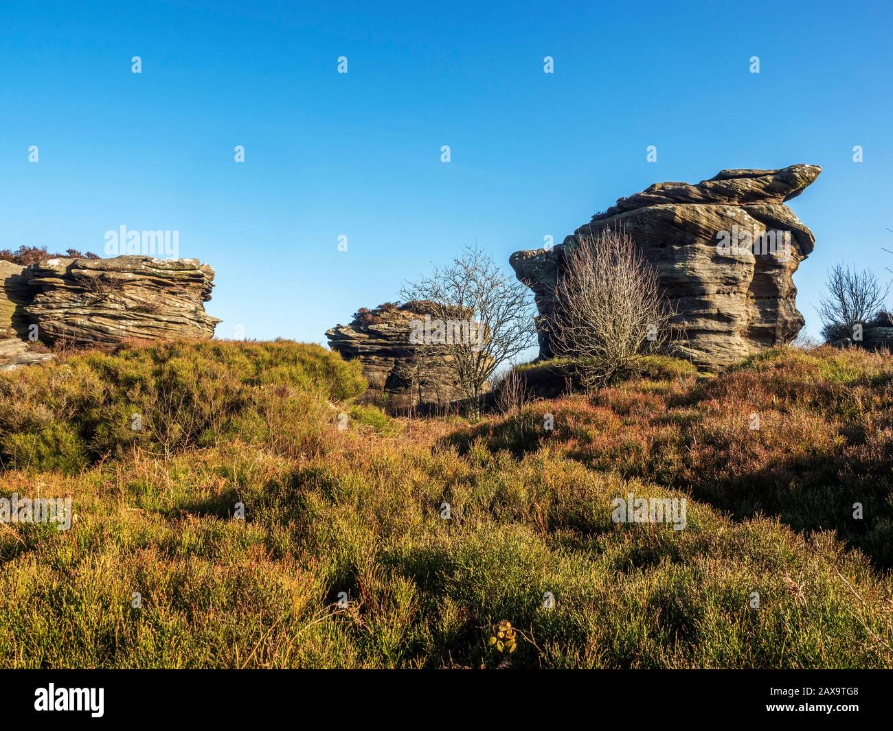 Gritstone rock formations at Hare Heads on Brimham Moor Nidderdale AONB North Yorkshire England Stock Photo