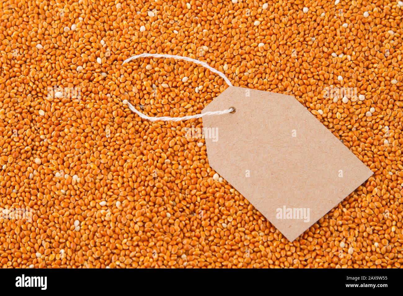 paper tag on red millet. Stock Photo