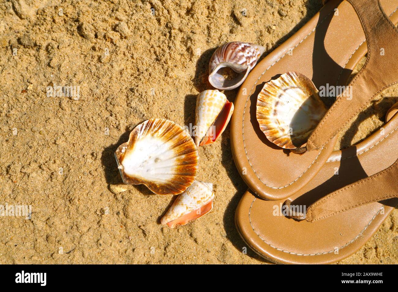 beach footwear women's
