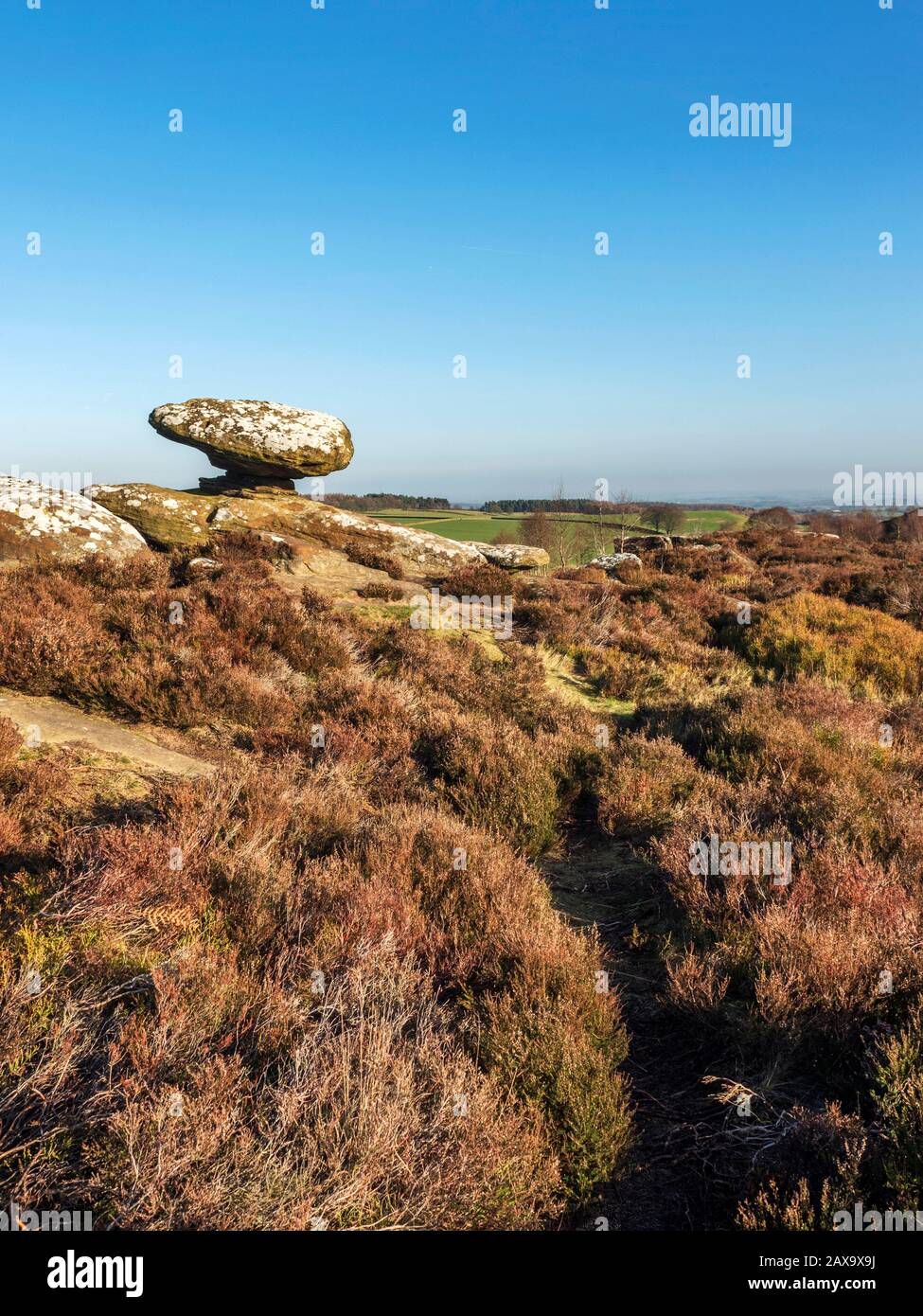 Mushroom Rock gritstone rock formation on the northern edge of Brimham Moor Nidderdale AONB North Yorkshire England Stock Photo