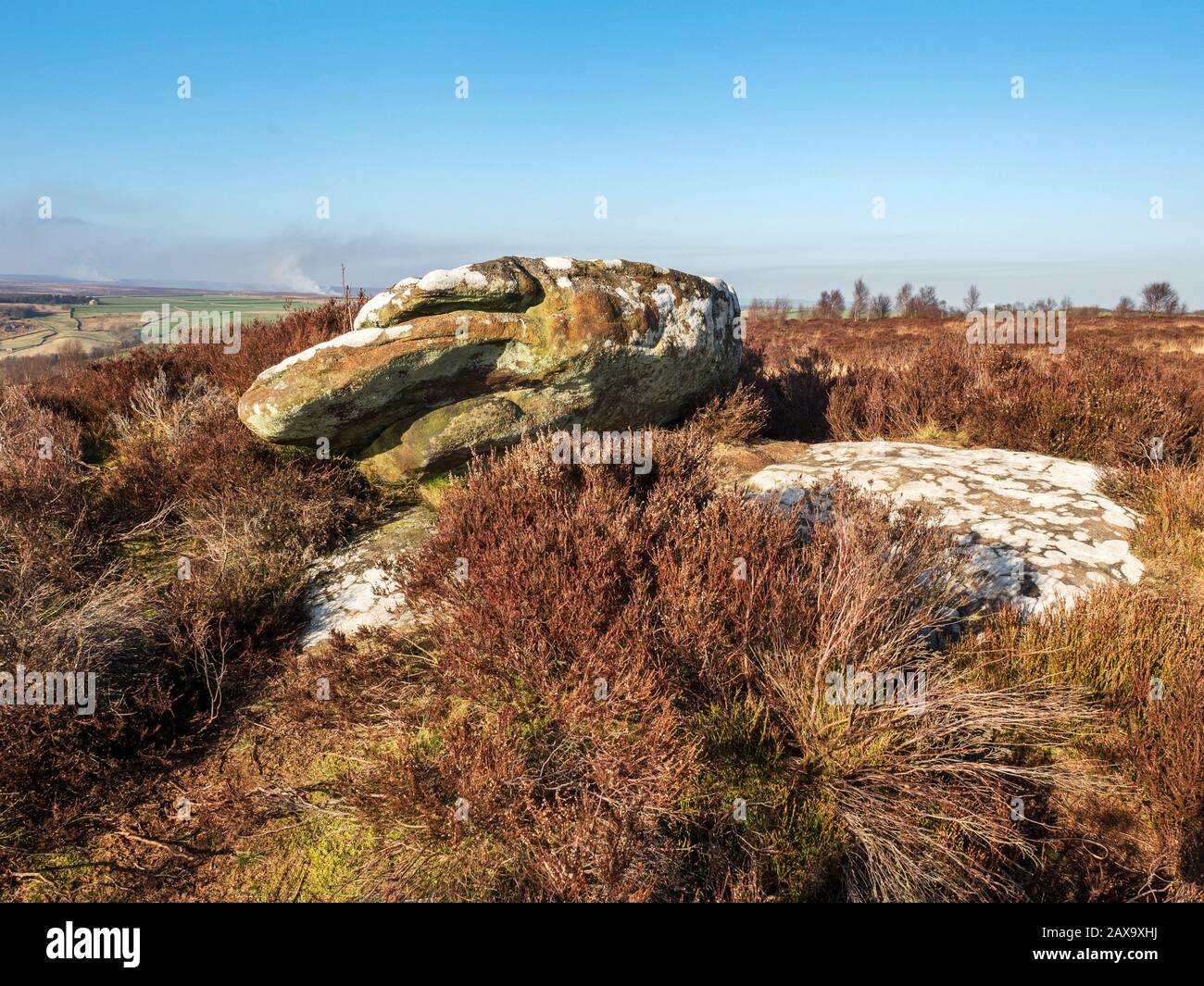 Gritstone boulder on Brimham Moor Nidderdale AONB North Yorkshire England Stock Photo