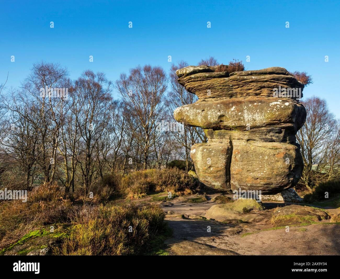 Idol Rock gritstone rock formation at Brimham Rocks Brimham Moor Nidderdale AONB North Yorkshire England Stock Photo