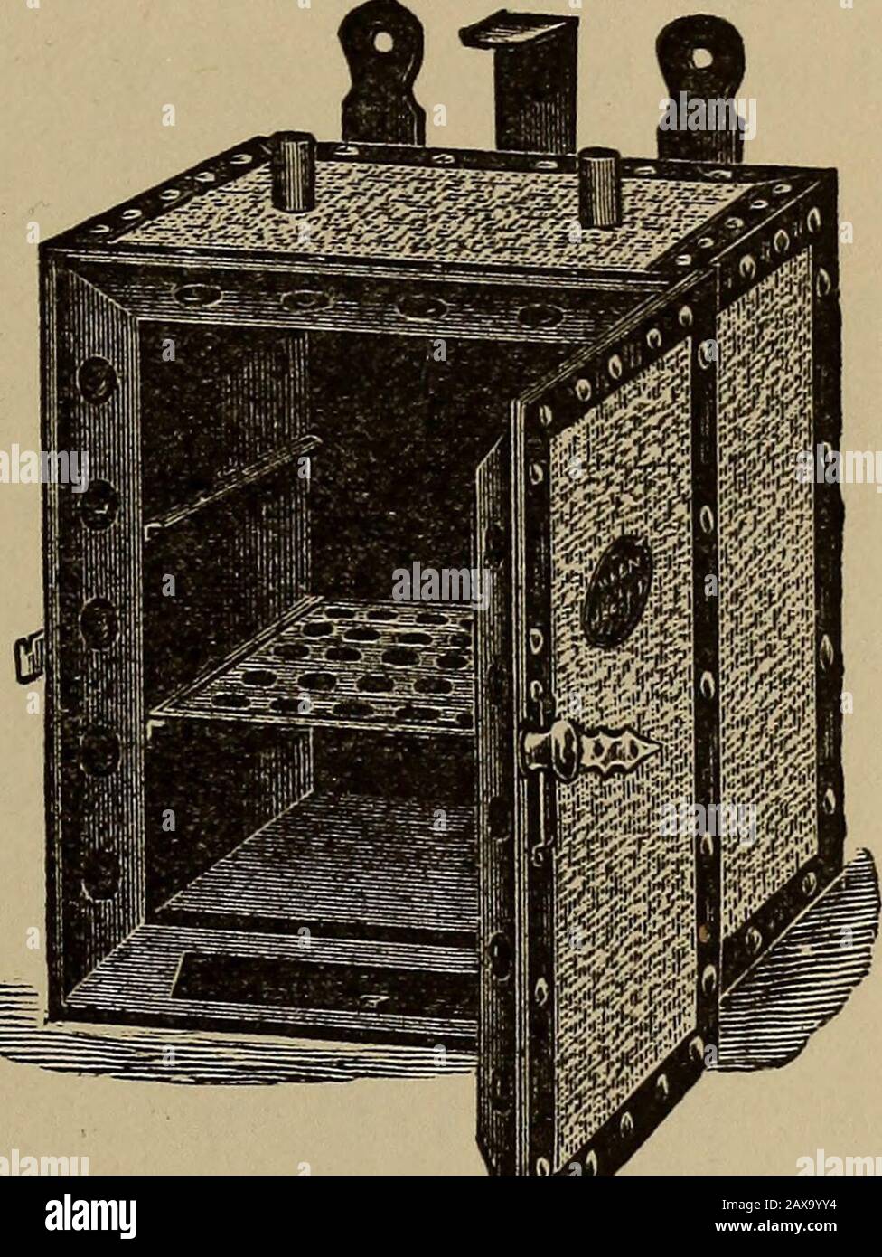 Spore forming bacteria hires stock photography and images Alamy