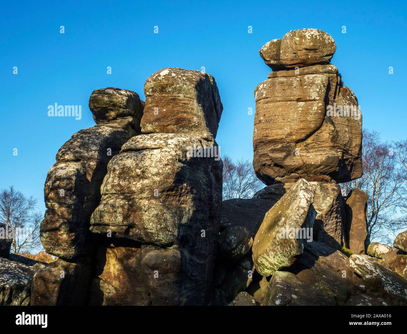 Gritstone rock formations at Brimham Rocks Brimham Moor Nidderdale AONB North Yorkshire England Stock Photo