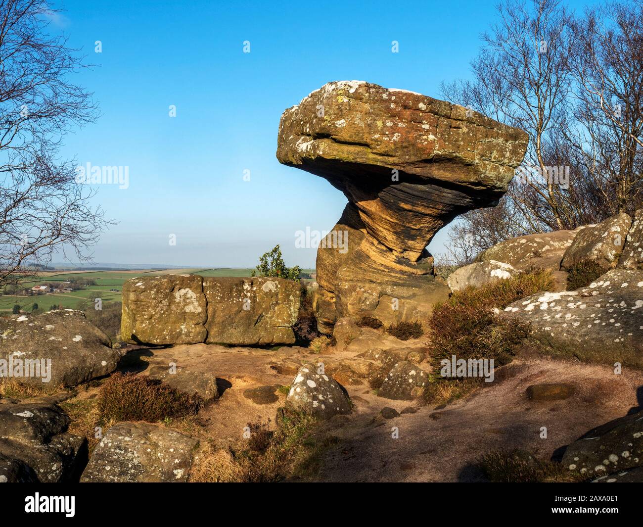 The Druids Writing Desk gritstone rock formation at Brimham Rocks Brimham Moor Nidderdale AONB North Yorkshire England Stock Photo