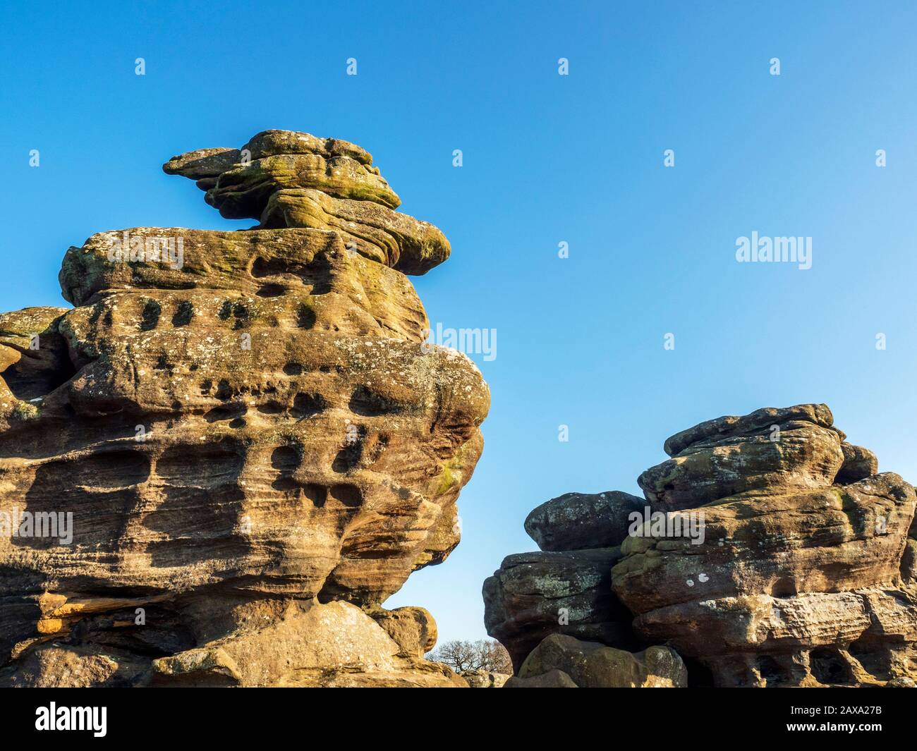 Eagle Rock gritstone rock formation at Brimham Rocks Brimham Moor Nidderdale AONB North Yorkshire England Stock Photo