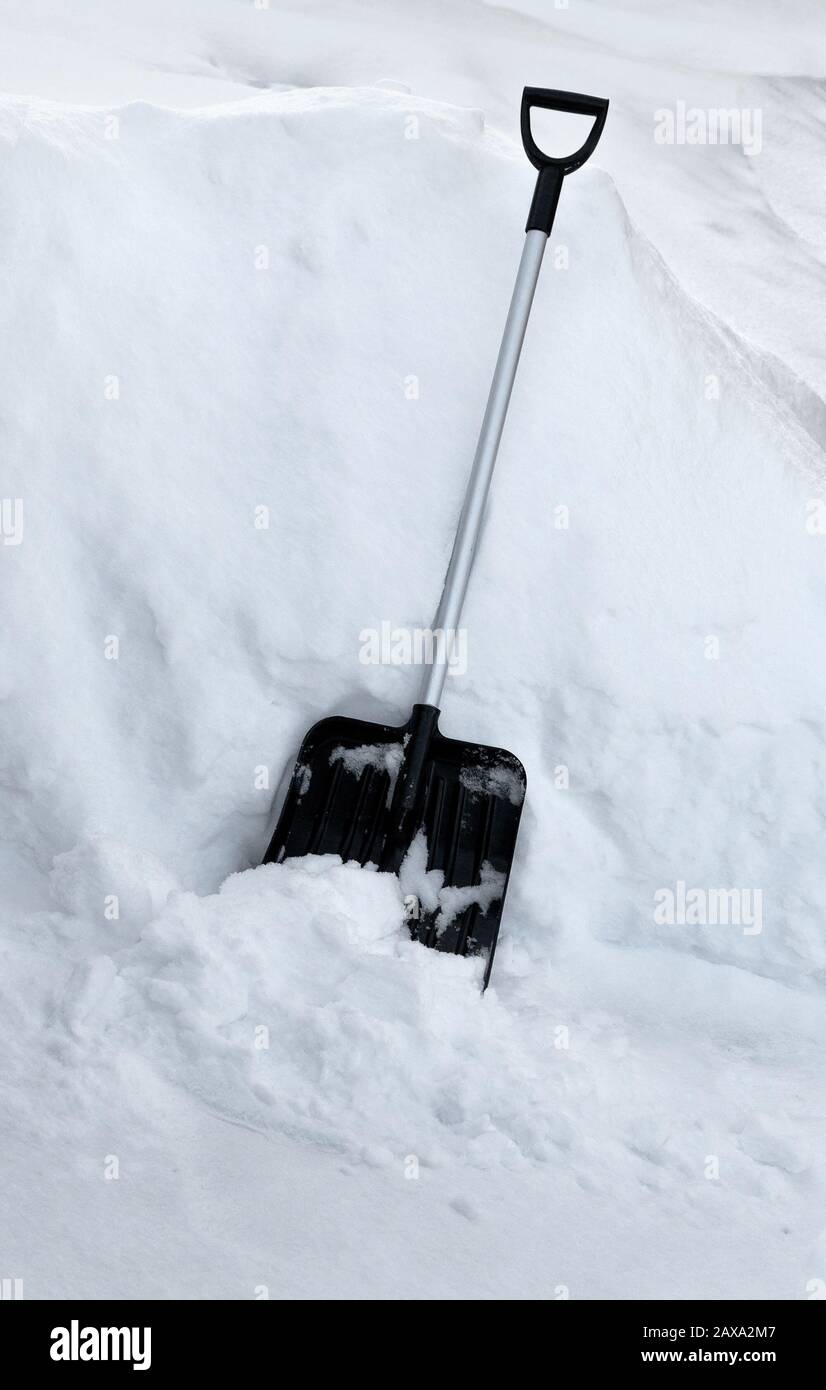 Shovel snow. Shovel in snowdrift. Black Shovel for cleaning of snow