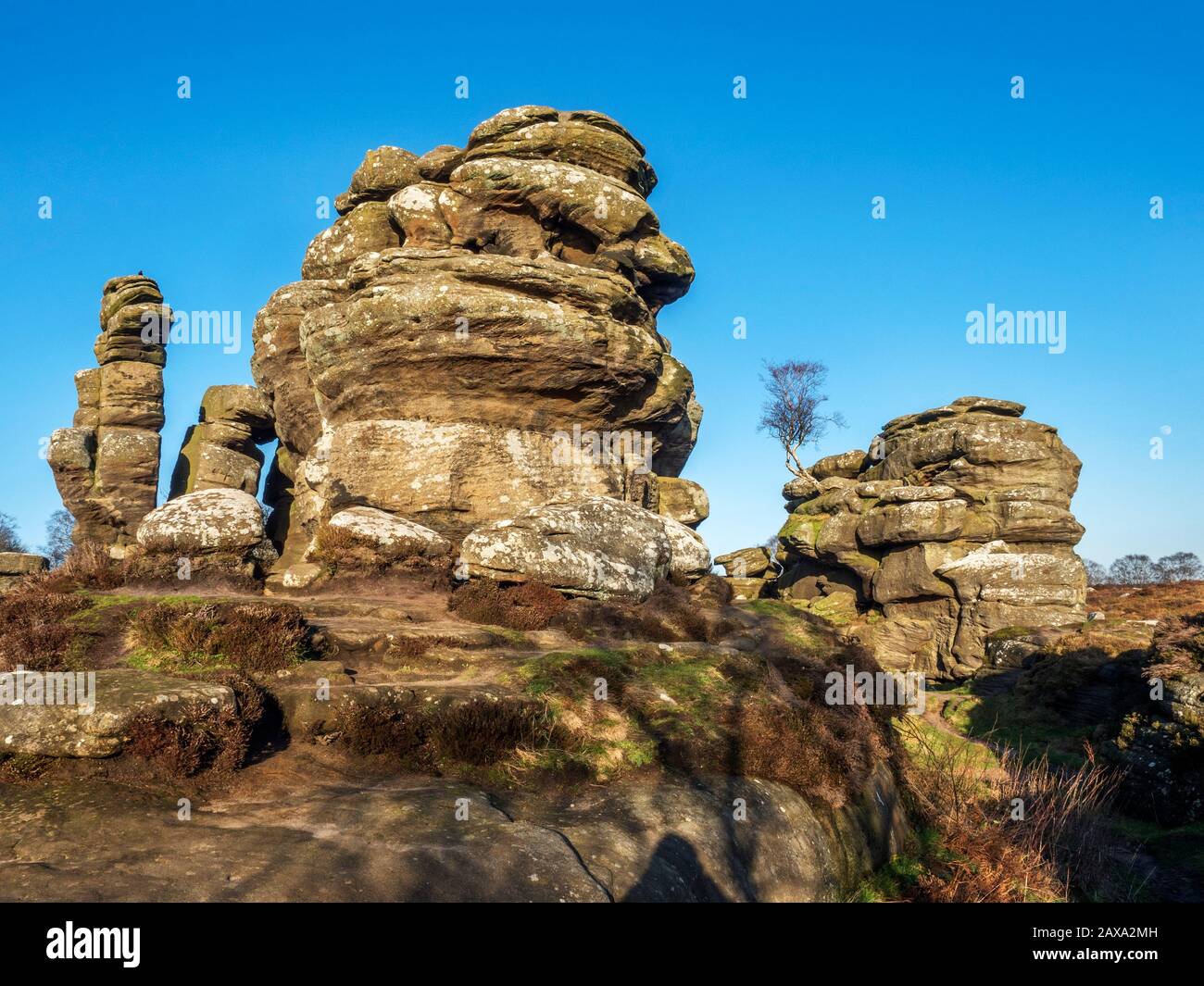 Gritstone rock formations at Brimham Rocks Brimham Moor Nidderdale AONB North Yorkshire England Stock Photo