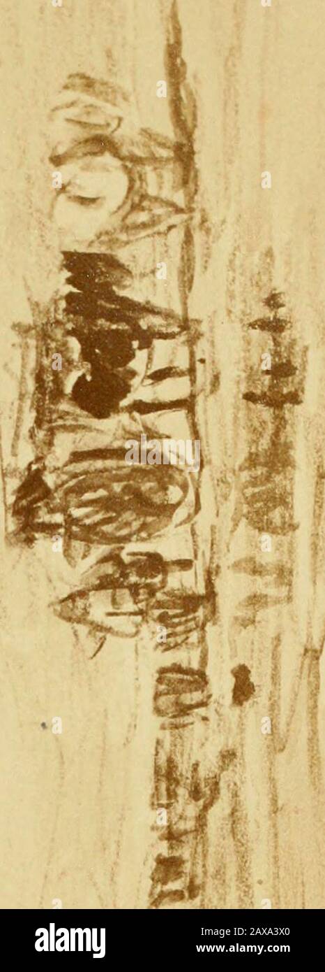 Ulverstone High Resolution Stock Photography And Images Alamy