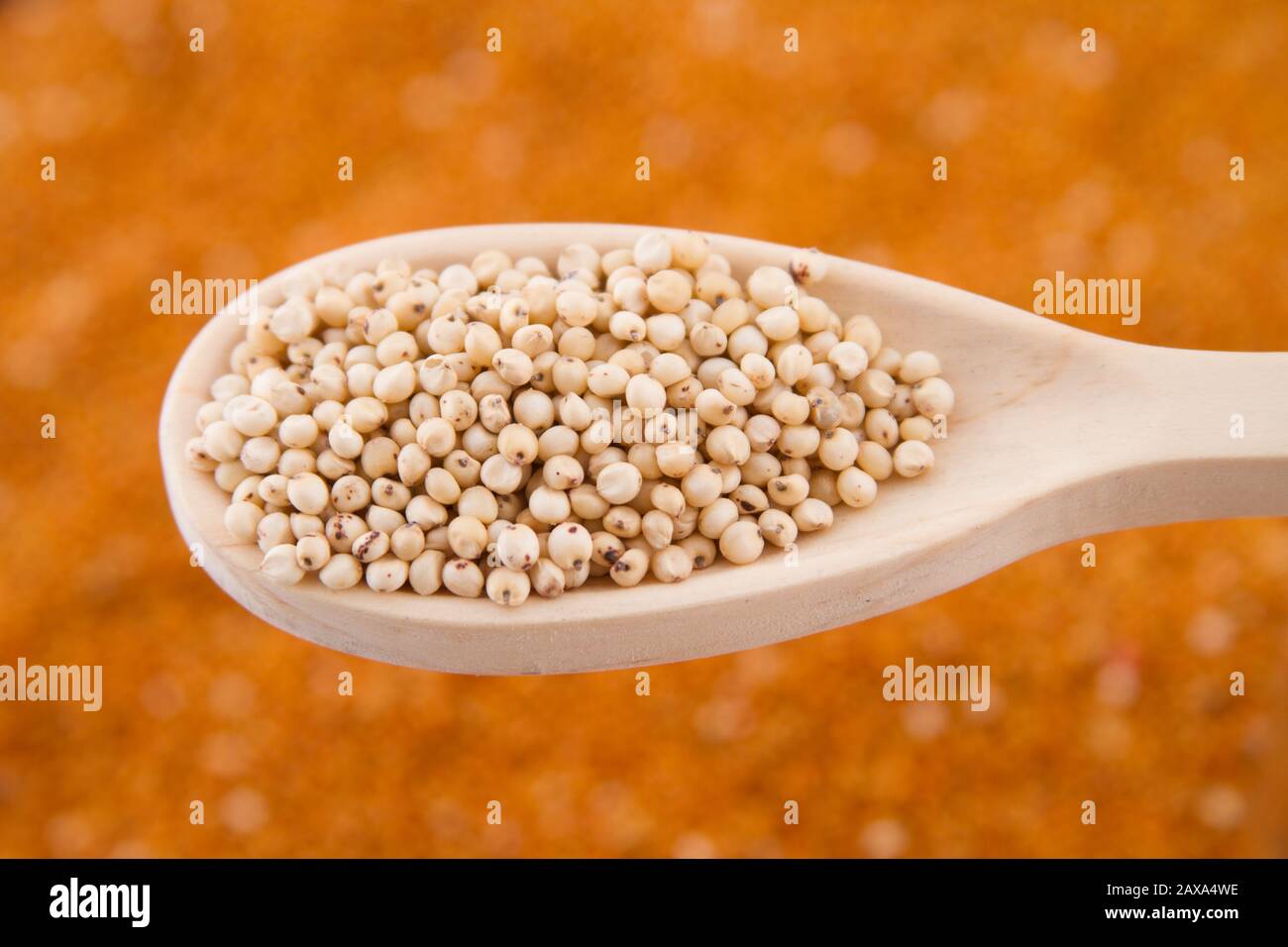 grains of red and white sorghum (Sorghum). Stock Photo