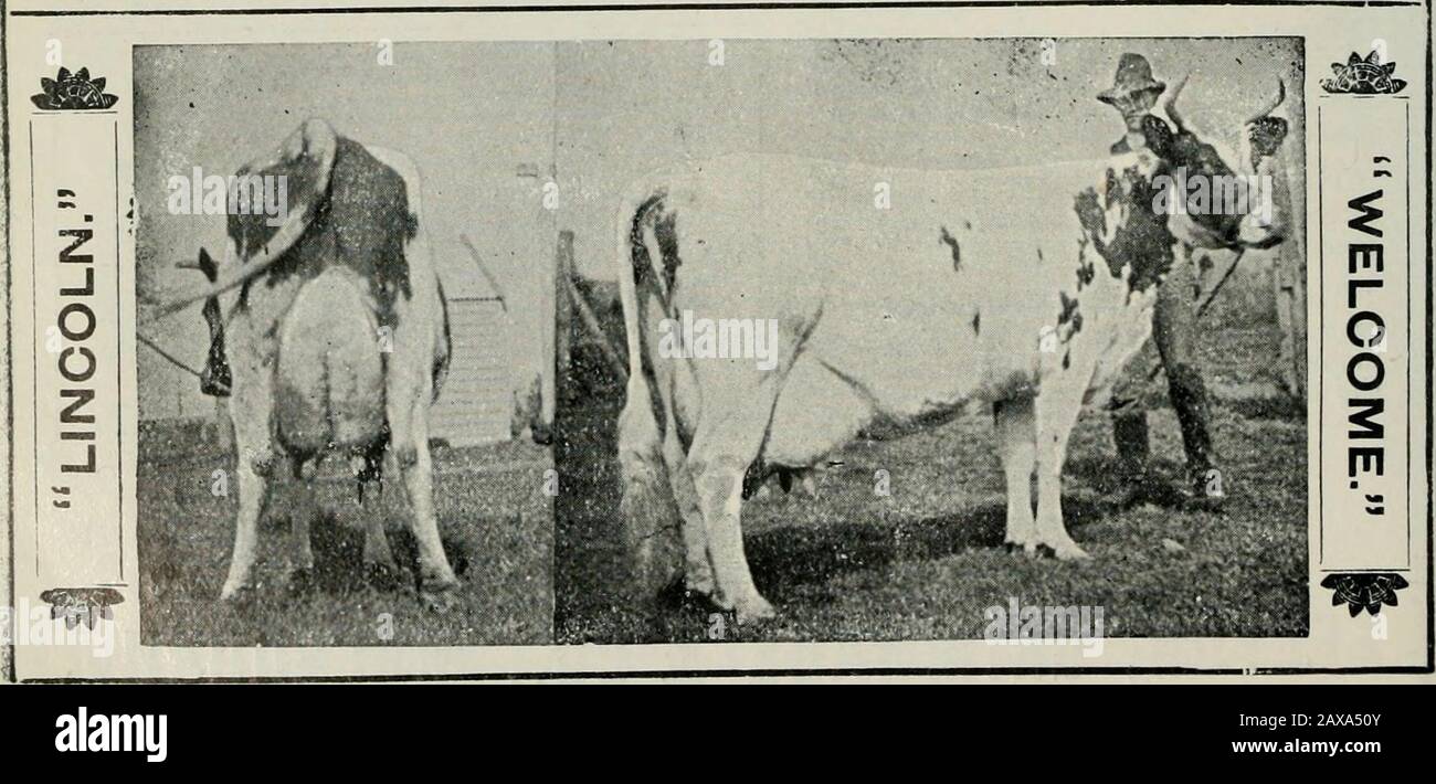 1908 1909 1910 hi-res stock photography and images - Page 4 - Alamy