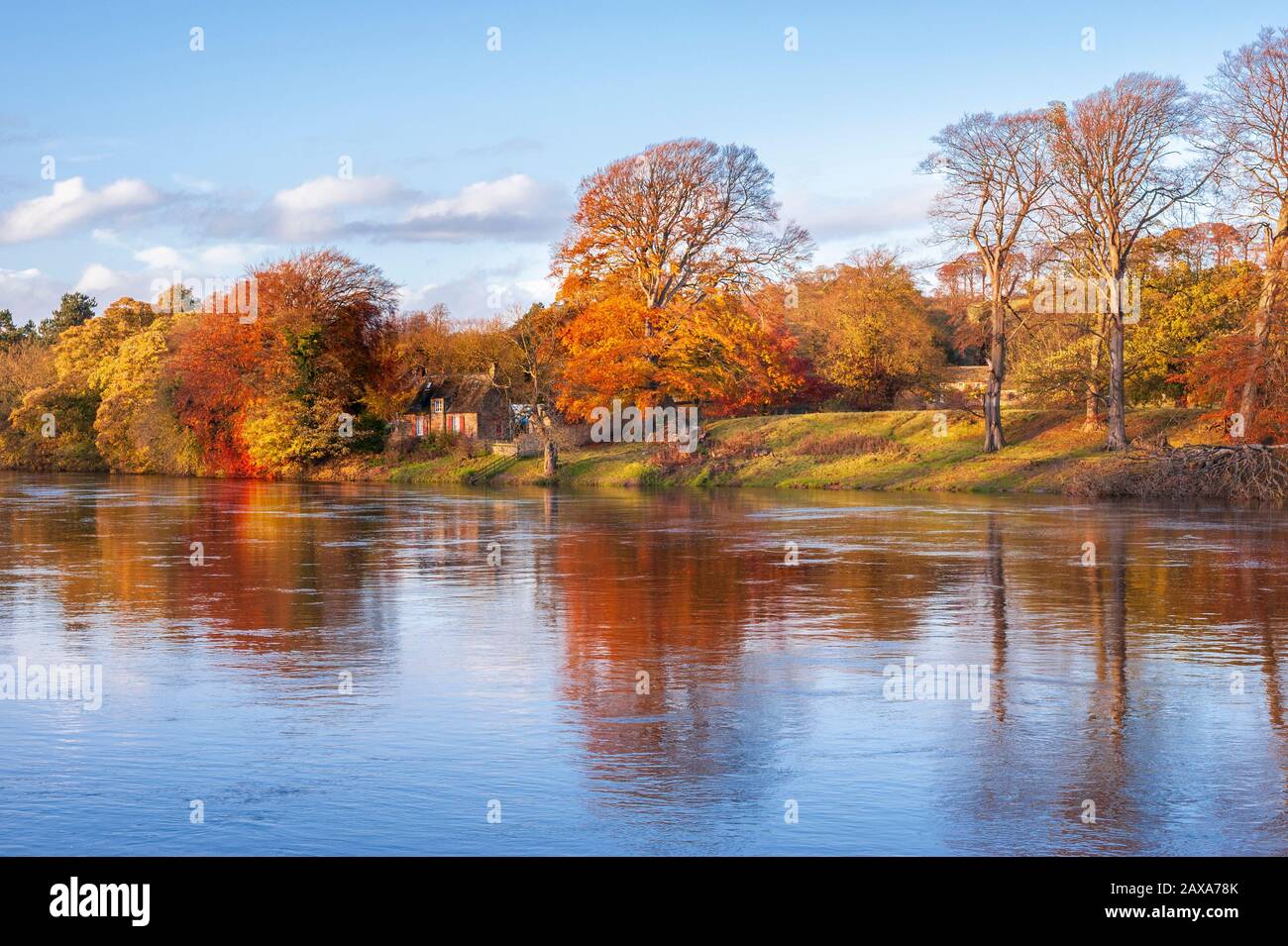 View from Tyne Green of Autumn colour on trees round an old cottage on the banks of the River Tyne near Hexham in Northumberland North East England Stock Photo