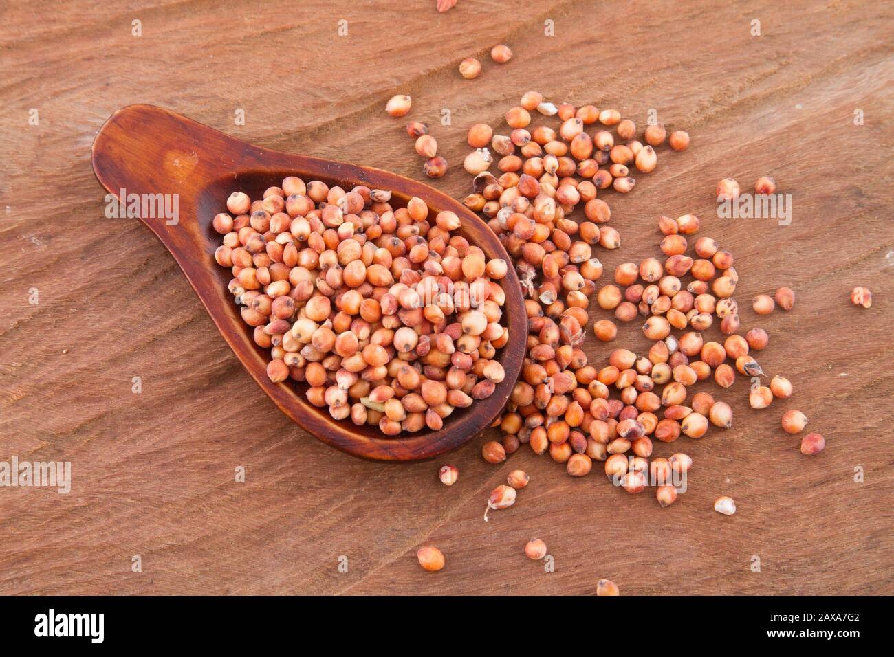 grains of red and white sorghum (Sorghum). Stock Photo