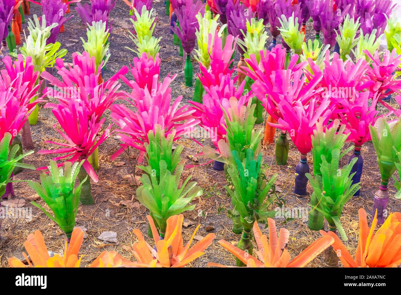 Recycled colorful plastic flowers made from plastic bottles to decorate