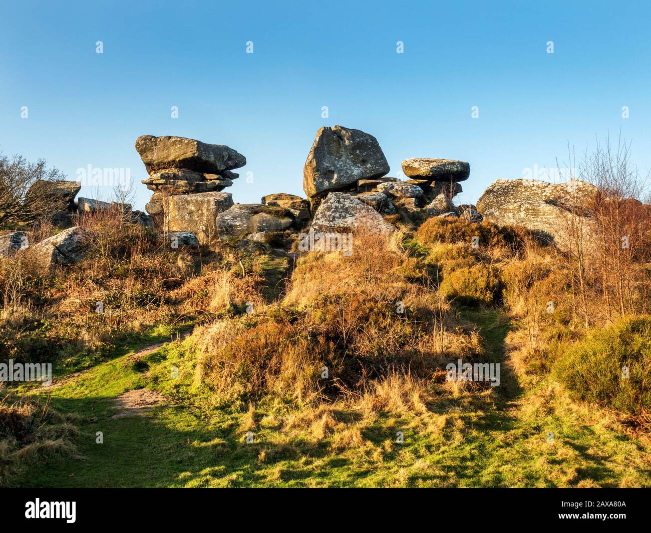 Gristone rocks lit by the setting sun on a winter afternoon at Brimham Rocks Brimham Moor Nidderdale AONB North Yorkshire England Stock Photo