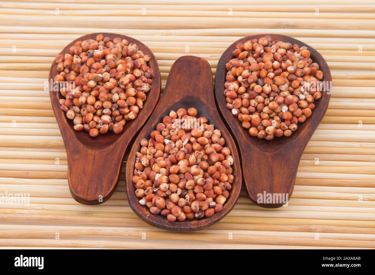 grains of red and white sorghum (Sorghum). Stock Photo