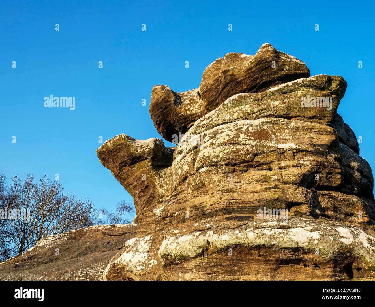 The Dancing Bear gritstone rock formation at Brimham Rocks Brimham Moor Nidderdale AONB North Yorkshire England Stock Photo