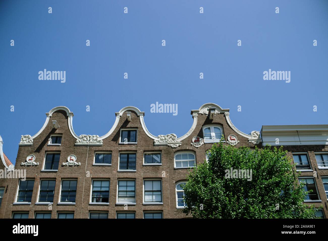 Rooftops of buildings in Amsterdam Stock Photo