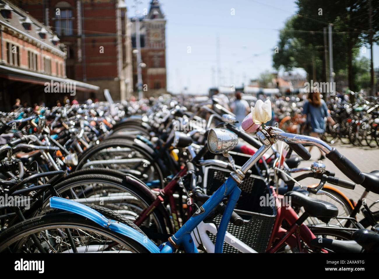 Bicycles in Amsterdam Stock Photo Alamy