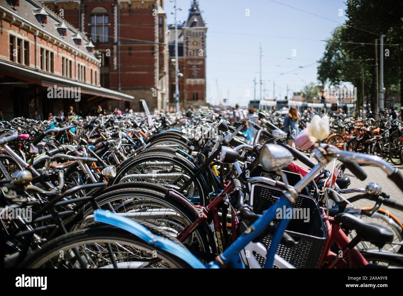 Bicycles in Amsterdam Stock Photo Alamy