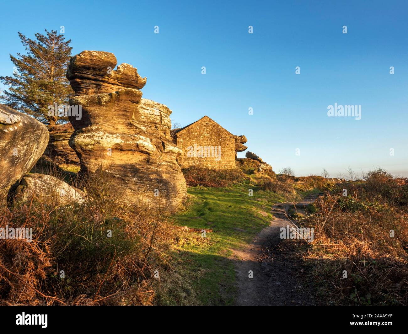 The Dancing Bear gritstone rock formation and Visitor Centre at Brimham Rocks Brimham Moor Nidderdale AONB North Yorkshire England Stock Photo