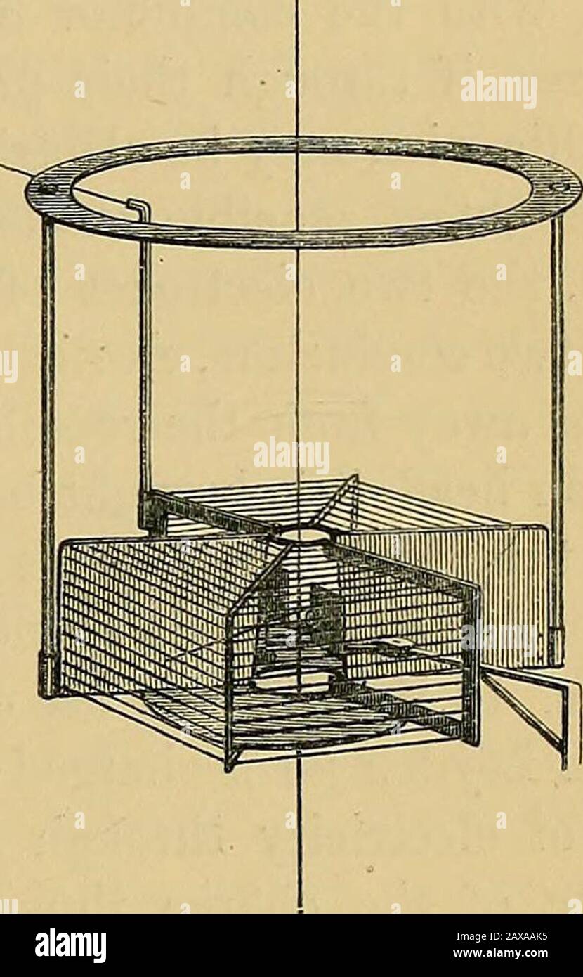 Reprint of papers on electrostatics and magnetism . (6.) A very light platinum wire, long enough to hang withinone-eighth of an inch or so of the bottom of the jar, and to dipin the sulphuric acid. (7.) A metal ring, attached to the inner coating of the jar,bearing two plates in proper positions for repelling the twoends of the aluminium needle when similarly electrified, andproper stops to limit the angular motion of the needle to with-in about 45° from these plates. (8.) A cage of fine brass wire, stretched on brass framework,supported from the main case above by two glass pillars, andpartia Stock Photo