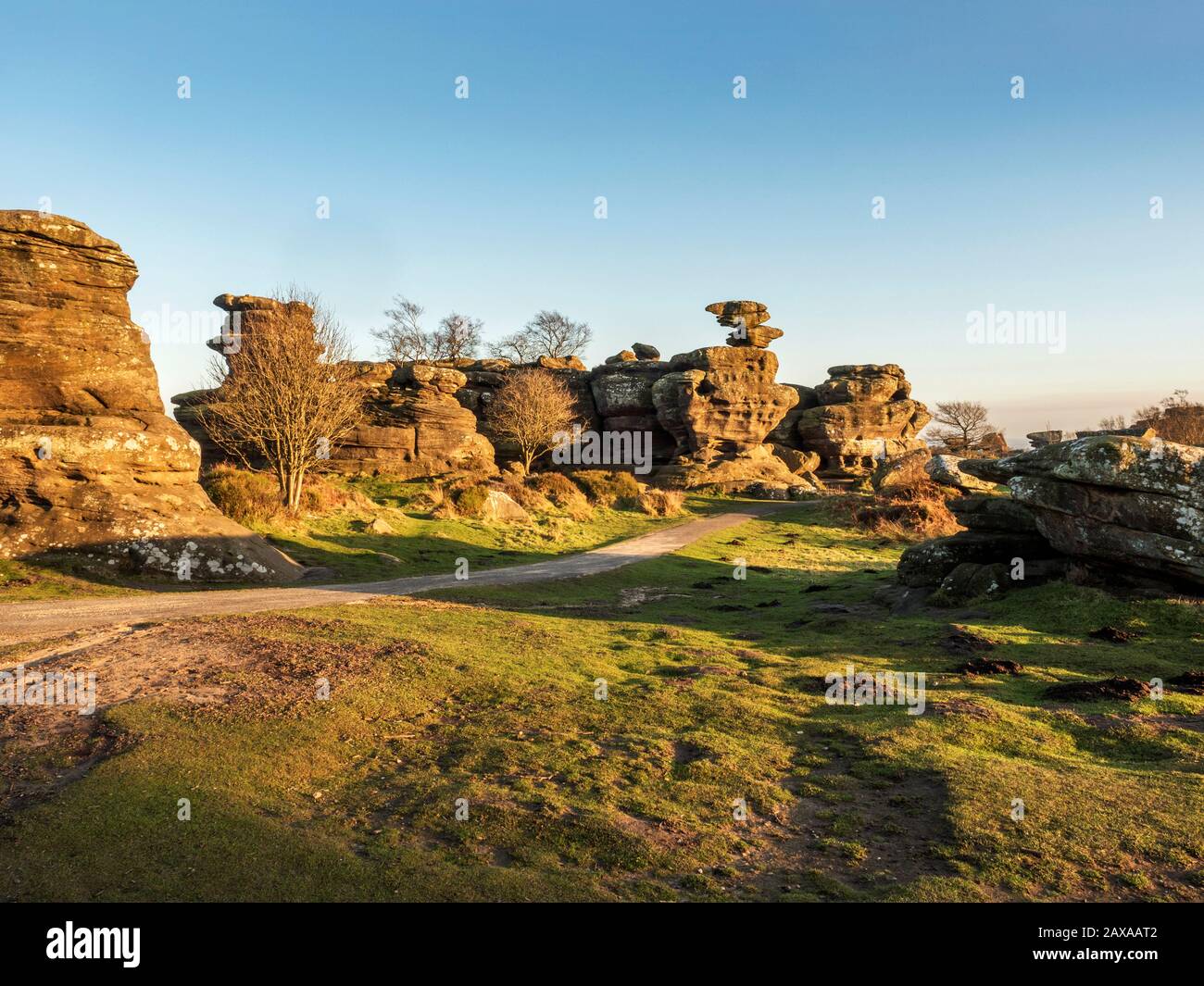 Gristone rock formations lit by the setting sun on a winter afternoon at Brimham Rocks Brimham Moor Nidderdale AONB North Yorkshire England Stock Photo