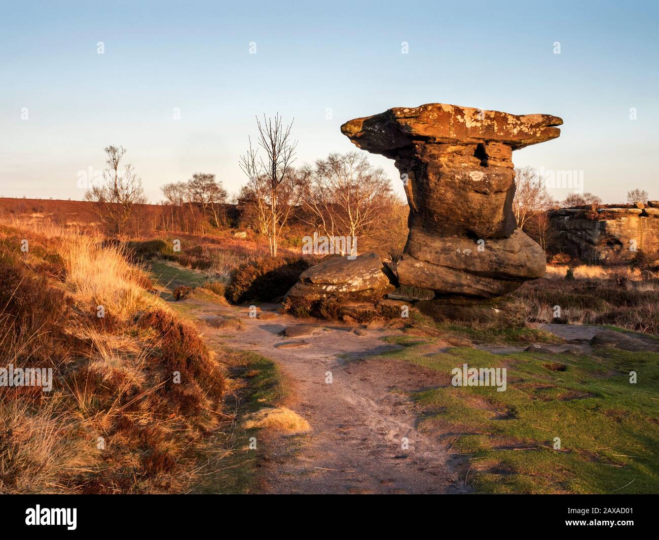 Flat topped gritstone rock formation at Brimham Rocks on Brimham Moor Nidderdale AONB North Yorkshire England Stock Photo