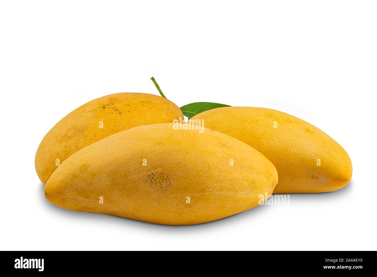 Ripe sweet mangoes with leaf on white background with clipping path. Stock Photo