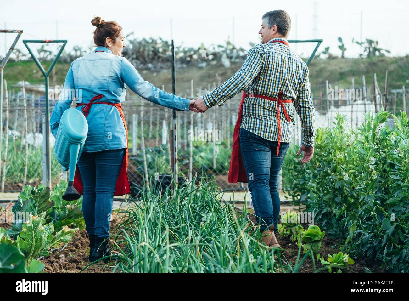 Smiling farmer couple holding hands in an organic field Stock Photo - Alamy