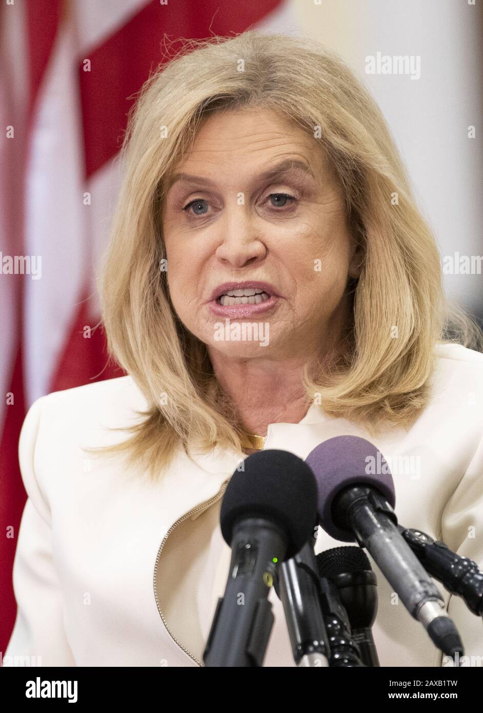 Washington, United States. 11th Feb, 2020. House Oversight committee Chairwoman Carolyn Maloney?, D-NY, speaks at a press conference on legislation to make Washington, DC the 51st state, on Capitol Hill in Washington, DC on Tuesday, February 11, 2020. Photo by Kevin Dietsch/UPI Credit: UPI/Alamy Live News Stock Photo