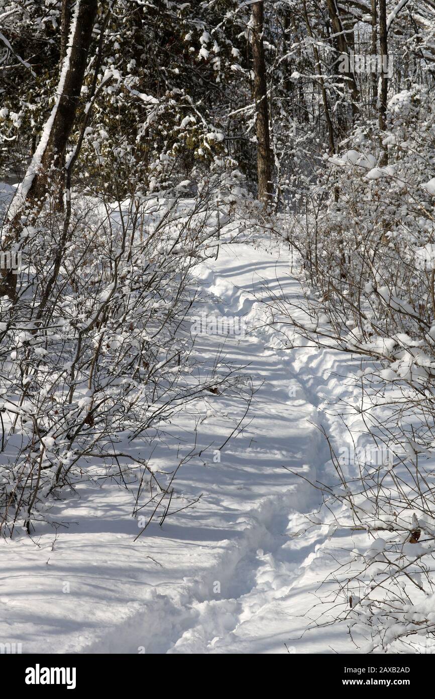 Heally Falls in winter Stock Photo