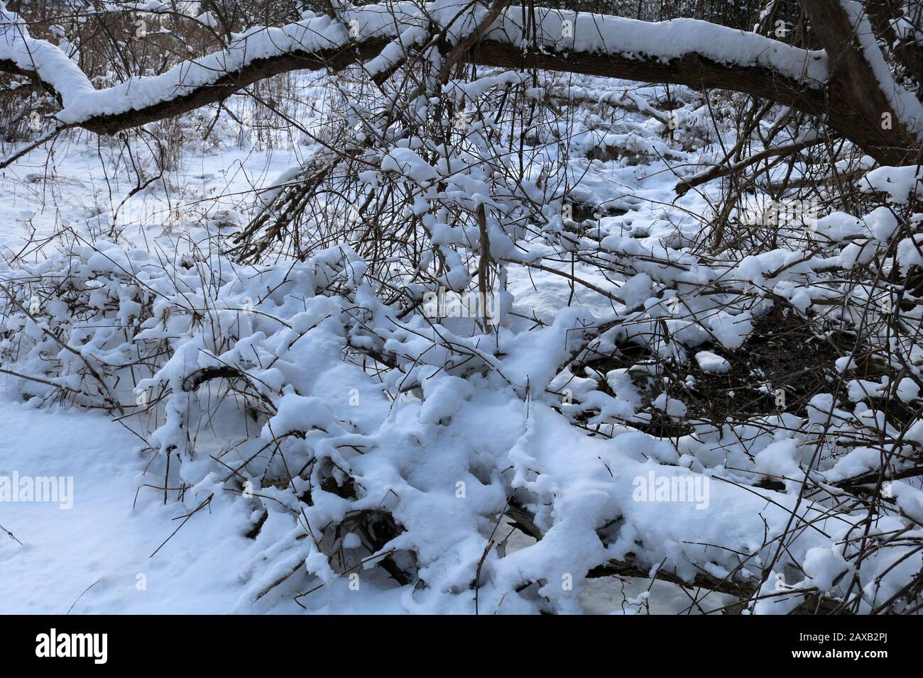 Heally Falls in winter Stock Photo
