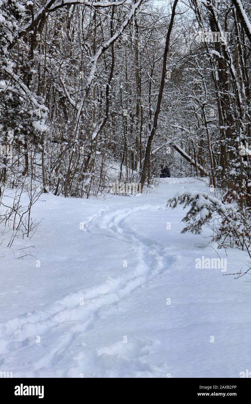 Heally Falls in winter Stock Photo
